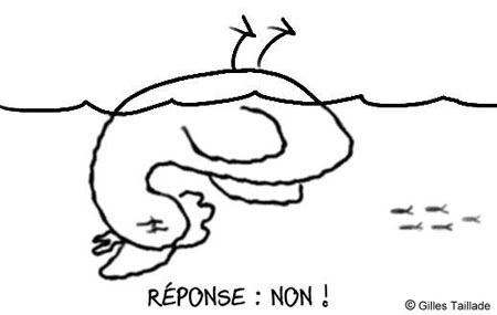 Dessin humoristique : humour poisson