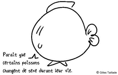 Dessin humoristique : humour poisson