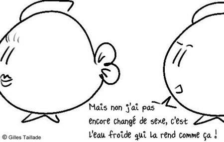 Dessin humoristique : humour poisson