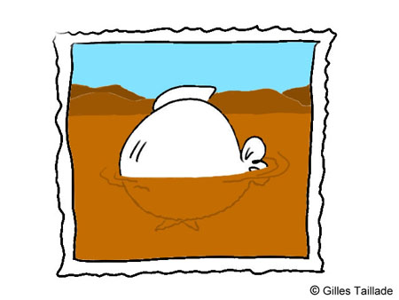 137. Photo de vacances : la Mer d'Aral : Triste sort pour cette mer. Dessin humoristique : humour poisson